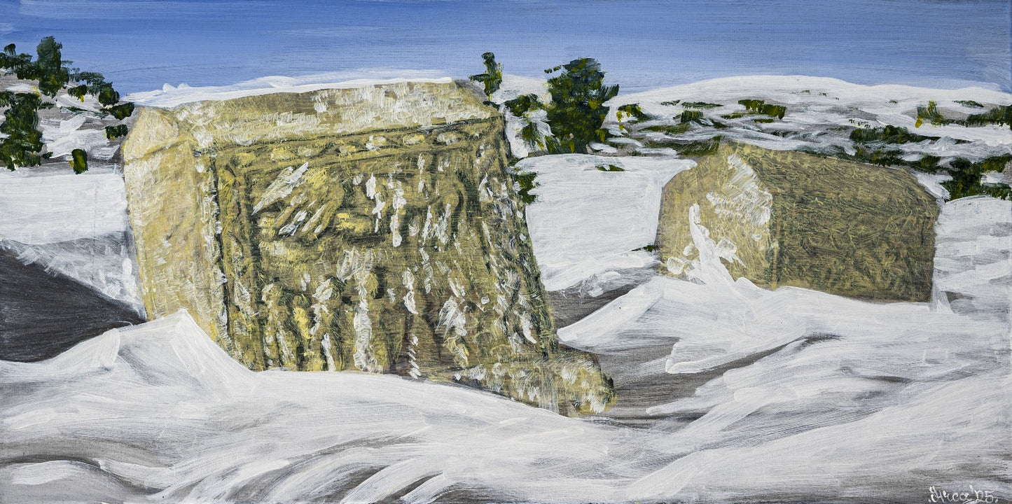 Stećci u snijegu na blidinje